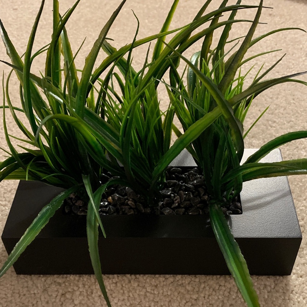 MyGift - Artificial Green Grass Plants Centerpiece in Black Rectangular Pot -NIB